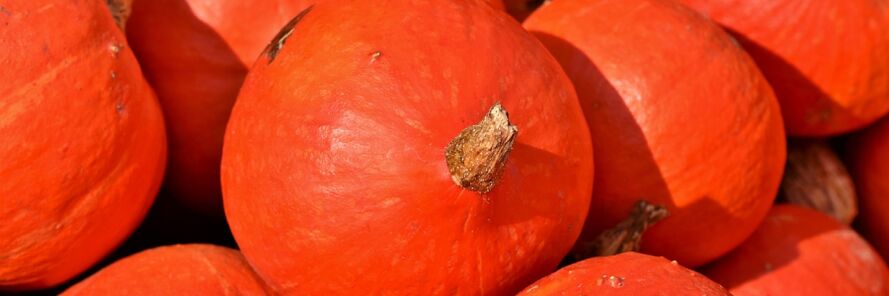 pumpkin i gcoinne péisteanna